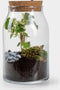 Forest - Terrarium met led - 30cm