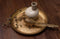 BePureHome Hammer Dienblad - Metaal - Antique Brass - 2x48x48