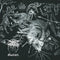 Darkthrone - Goatlord - LP - Standard Edition