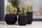 Capi Europe - Vaas bol Groove Black & Gold - 30x25 - Zwart - Opening Ø21.5 - Bloempot voor binnen - 5 jaar garantie - BGVBL104