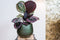 Ter Steege Plantenpot/bloempot - keramiek - metallic donkergroen/touch of gold - D23/H20 cm