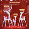Coast 3-delige LED Rendierfamilie - Kerstdecoratie - 215 LED’s cool white - iriserend - rood accent