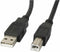 USB A to USB B Cable Lanberg CA-USBA-10CC-0005-BK Black