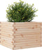vidaXL - Plantenbak - 60x60x46 - cm - massief - grenenhout