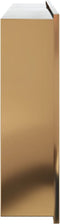 vidaXL - Douchenis - 62x32x9 - cm - roestvrijstaal - geborsteld - goudkleurig