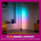 WiZ Gradient Vloerlamp - RGBIC Meerdere kleuren tegelijk - 140 cm - Zwart