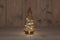 Anna's Collection - B.O.T. Tree Glass 10X23,5 cm Pink With Golden B...