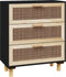 vidaXL - Dressoir - 60x30x70 - cm - massief - grenen - hout - en - rattan - zwart