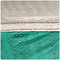 vidaXL - Partytent - waterdicht - zeegroen