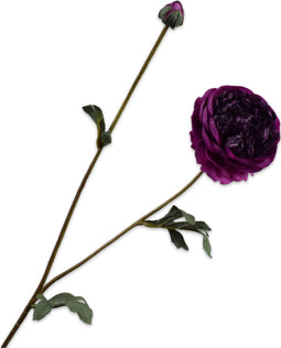 Silk-ka Kunstbloem-Zijde Ranonkel Tak Paars 62 cm Voordeelaanbod Per 2 Stuks