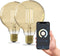 Calex Slimme Lamp - Wifi LED Filament Globe - Dimbaar Warm Wit - Goud - E27 (2 stuks)