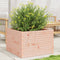 vidaXL - Plantenbak - 70x70x46 - cm - massief - douglashout