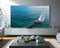 Samsung QLED Q80C - Ultra HD TV - 98