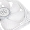 Silverstone Shark Force 140 ARGB - Ventilator 140mm - Fluid Bearing - Wit