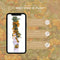 Perfect Garden | Set van 2 gele Vuurdoorn planten | 15 cm Ø | 60 cm | Pyracantha coccinea Sunny Star | Vuurdoorn haag | winterharde planten voor in de tuin | Tuinplanten