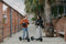 Ninebot by Segway KickScooter F2 Plus D Zwart 20 km/h