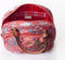 Oilily -