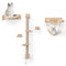 Coast Klimmuur Kat - 5 Delig - Wandmontage - Platforms - Jute - Hangmat - Natuur