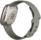 Fitbit Versa Sense - Smartwatch - Stressmeting en huidtemperatuur - Grijs