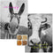 Set van 2 theedoeken Farm | Blanc