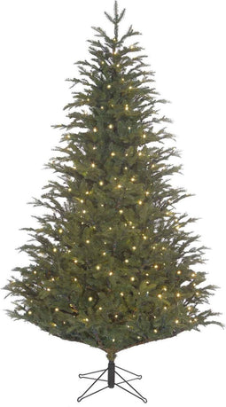 Black Box Trees Frasier Kunstkerstboom met LED verlichting - H305 cm - Groen