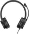 Conceptronic POLONA05BC - Oordopjes met microfoon - USB-C - Zwart (2 m)