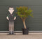 Granaatappelboom Punica granatum h 155 cm st. omtrek 35 cm