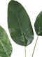 PTMD Leaves Plant Paradijsvogel Blad Kunsttak - 97x38x138 cm - Groen