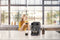 Philips 2200 Series EP2224/10 - Espressomachine - 2 Soorten Koffie + Heet Water - Kasjmiergrijs