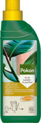 Bananenplant met Pokon en Elho sierpot – ↨ 80cm – ⌀ 24cm