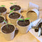 Kweekpotten in set, biologisch afbreekbaar, voor planten, 80 stuks plantenpotten, cellulose, rond, 8