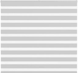 vidaXL - Zebra - rolgordijn - 165x100 - cm - stofbreedte - 160,9 - cm - lichtgrijs