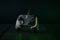 Razer Wolverine V2 Chroma - Gamepad - Draadloos - Zwart