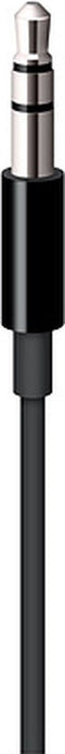 Apple MR2C2ZM/A - Aansluitkabel 3,5 mm Jack - Lightning - 120 cm - Zwart