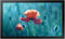 Samsung QB13C - Adapter - Full HD 1920x1080 - Zwart