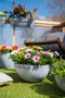 Ter Steege Bloempot/plantenpot schaal - kunststof - grijs - D55 x H23 cm