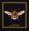 Thea Gouverneur - Borduurpakket met telpatroon - 3018.05 - Voorgesorteerde DMC Garens - Hommel - Zwart Aida - 17 cm x 18 cm - DIY Kit