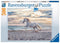 Ravensburger puzzel Paard op het strand 500 stukjes - Legpuzzel - 500 stukjes