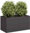 vidaXL - Plantenbak - 80x40x40 - cm - koudgewalst - staal - zwart