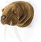Wild&Soft- Wanddecoratie dierenkop pluche walrus Jacob