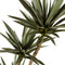 WOOOD Yucca Kunstplant - Plastic - Groen - 155x70x70