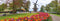 De Keukenhof - Premium Collection Jumbo Puzzel 1000 Stukjes - Multicolor