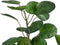 Decoratieve plant 80 x 77 x 113 cm Groen PVC Aralia