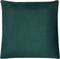 CEROPEGIA - Sierkussen set van 2 - Groen - 45 x 45 cm - Polyester