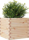 vidaXL - Plantenbak - 50x50x46 - cm - massief - grenenhout