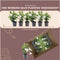 Plants by Frank - Set van 6 Mandevilla White Planten - 6 x Dipladenia Wit in 12 cm pot - Mediterrane planten - Vers uit de kwekerij geleverd - Klimplanten