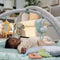 Ingenuity Baby activity gym pluche - Luxe speelmat met 6 afneembare speeltjes - Multicolor