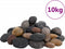vidaXL - Kiezelstenen - gepolijst - 5-8 - cm - 10 - kg - meerkleurig