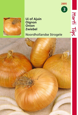 2 stuks - Hortitops - HT Uien Noordhollandse Strogele