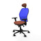 Piqueras y Crespo 3D036N1 - Bureaustoel - Verstelbare hoogte met hoofdsteun - Blauw Bruin
